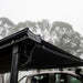 Aussie Traveller - 4WD Awning - 2.0 x 2.5m - Awning Under View